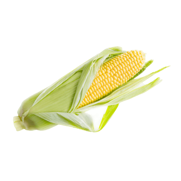 organicc-corn.png